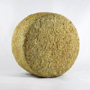 queso de oveja curado en romero